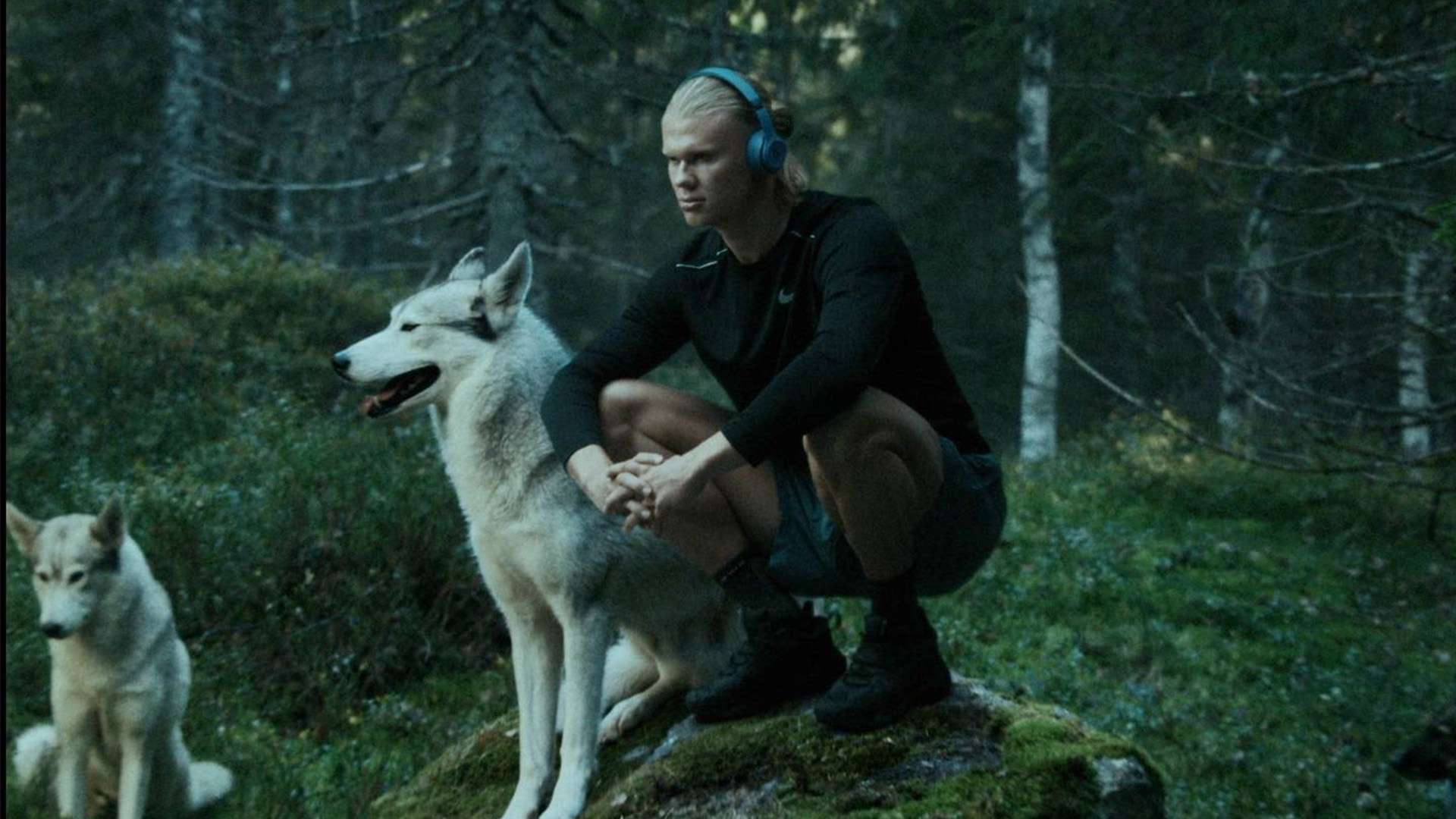 理解和看待 理解和看待