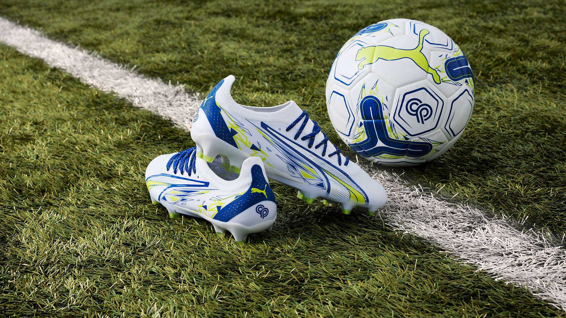 为读者全面 为读者全面